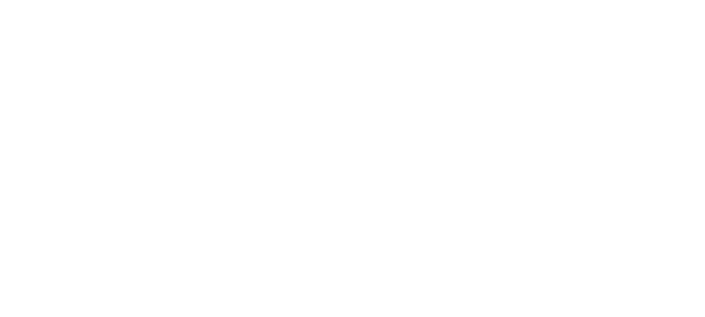 Ambassadori Aviation